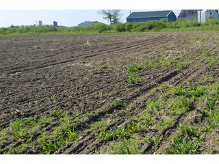 Property photo 6 - LAND AUCTION - 215+/- ACRES OFFERED IN 6 TRACTS IN VAN WERT COUNTY, OHIO